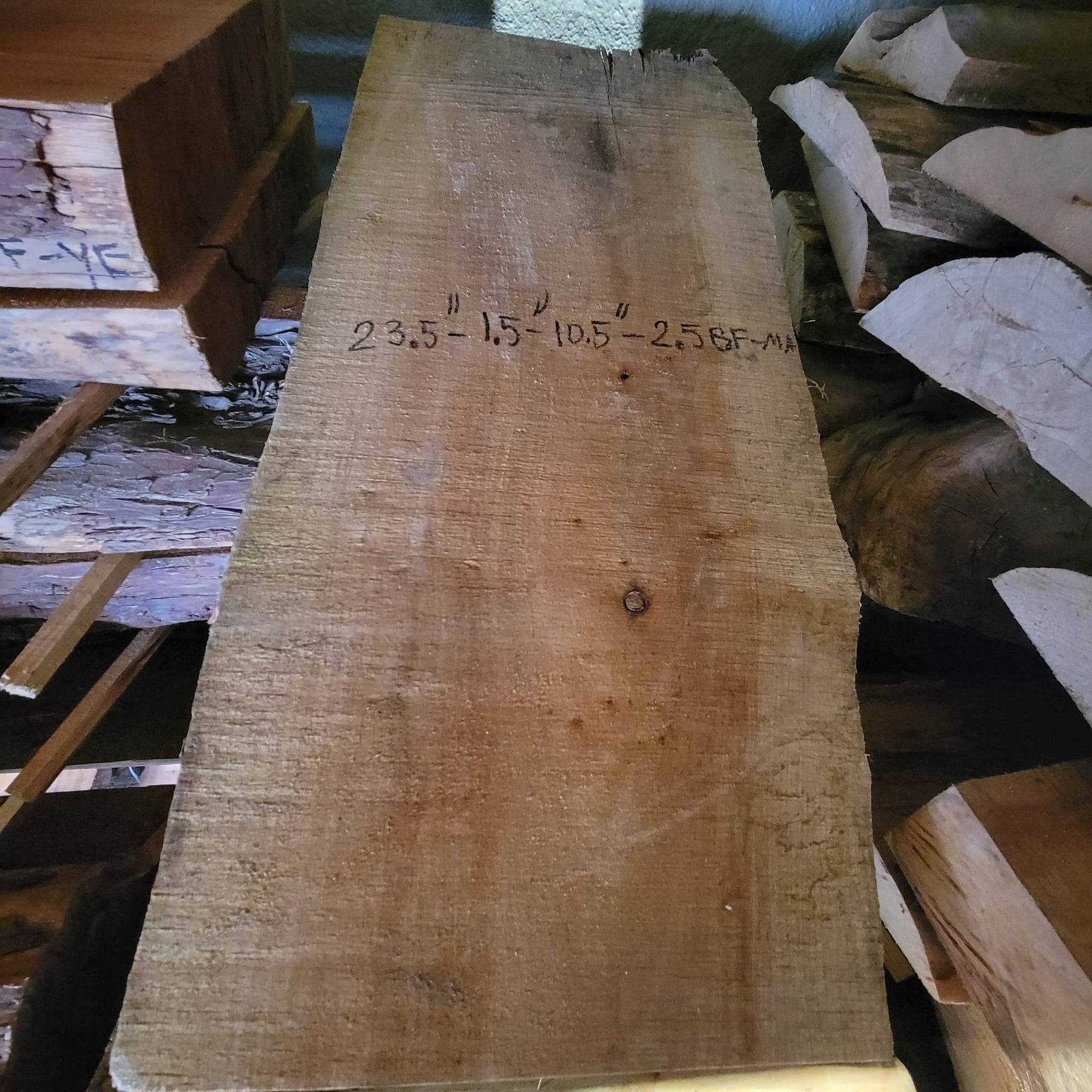 Big Leaf Maple